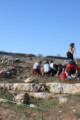 Link a Grottaglie: riprendono gli scavi per la via Appia