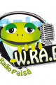 Link a Maruggio: nasce il portale di Web Radio Paisà