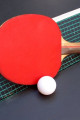 Link a Due studenti di Oria campioni provinciali di tennistavolo