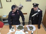 foto-arresto-CAROLI-02-cinofili