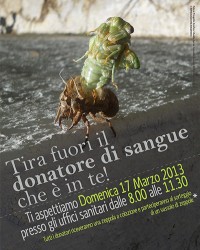 AVISORIA-Manifesto_Donazione-17mar13