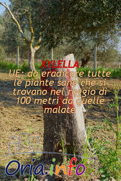 xylella-raggio