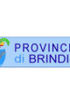 Link a Brindisi: oggi pomeriggio consiglio provinciale