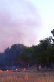 Link a Oria: tanti incendi di sterpaglie, spesso evitabili