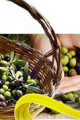Link a Latiano:  prova dimostrativa su utilizzo di prodotti fitosanitari nell’oliveto